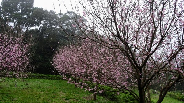 十八彎古道2026568