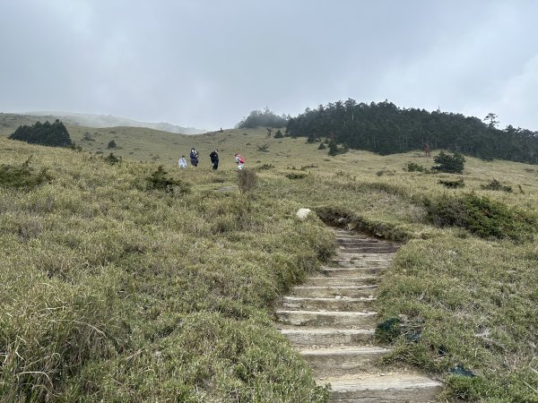 合歡山｜合歡東峰、小奇萊、石門山、尖山2548874