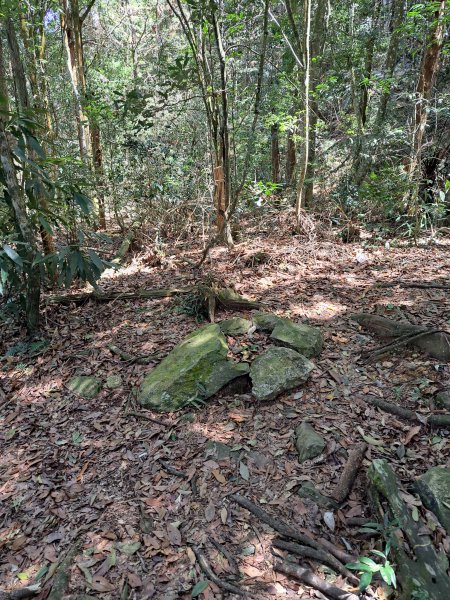 小出山(惠蓀林場上)202304162118347