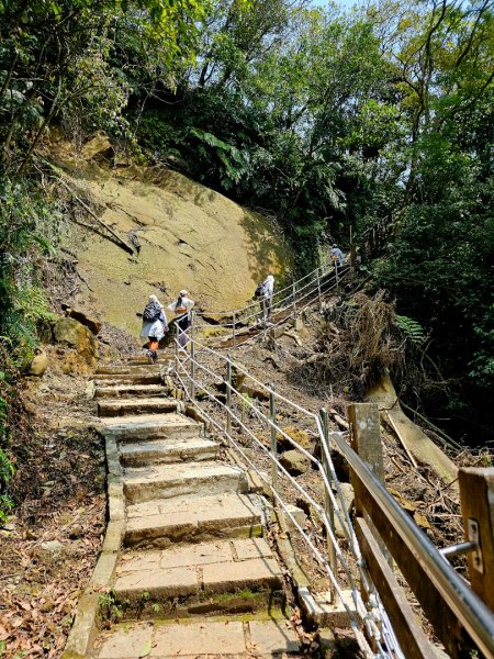 2025年臺北大縱走第六段：中華科技大學至捷運麟光站2755791