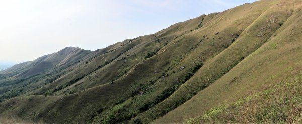 HK - 雞公嶺938844