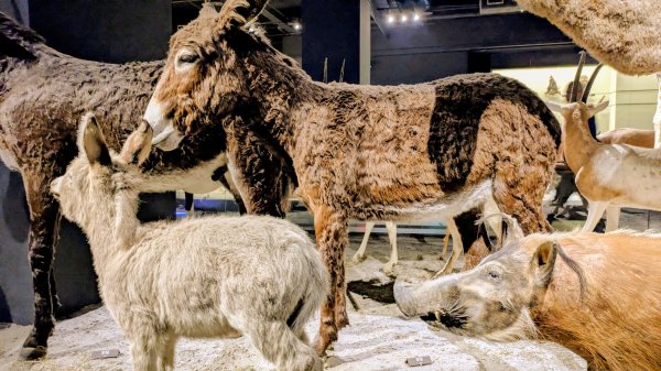 琴弦上的白宮2987580