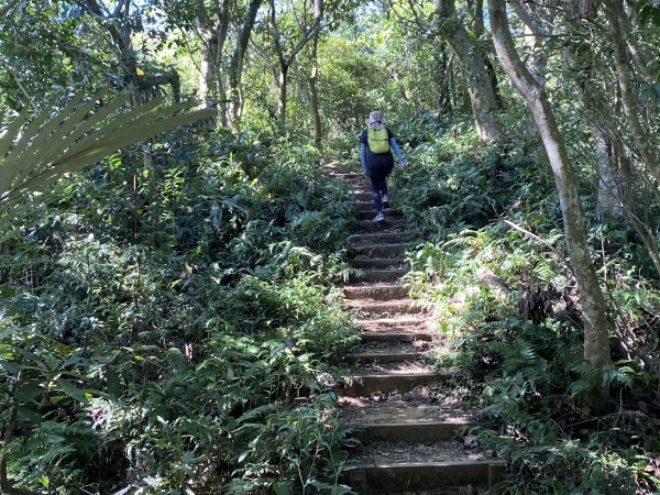 2025微笑山線大縱走尋寶集章任務-Ep.03【鳶山山系】鳶山彩壁段2893651