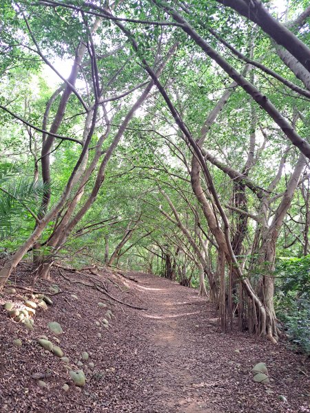 大肚環保公園登山步道202309102293391