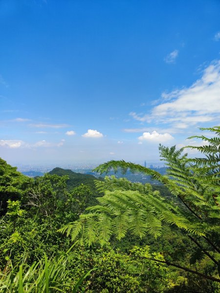 石碇鱷魚島-草湳二格山2786772