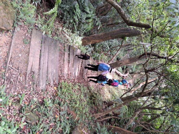 2026微笑山線筆架連峰段3103646