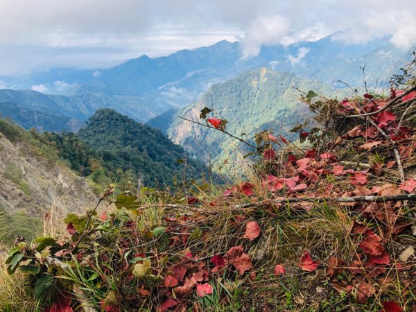 1091220稍來山主峰.南峰1214747