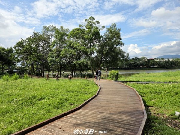 【台中東勢】東勢林業文化園區x許良宇圖書館3081519
