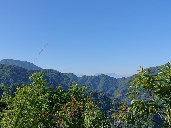 唐麻丹山2790164