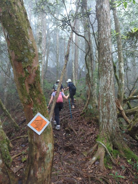 2025.07.05－高島縱走2828202