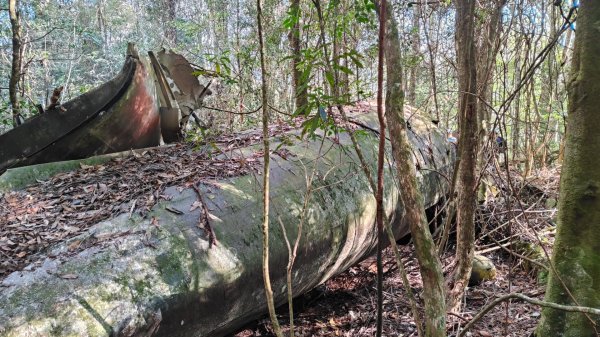 波鞍船稍G屋東2688228
