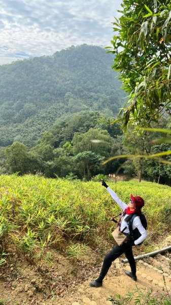 小百岳關刀山889m+銅鑼杭菊1924093