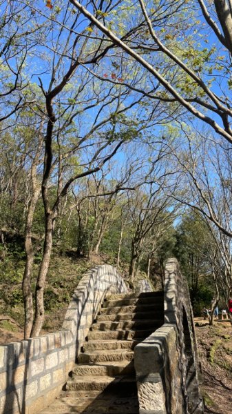 拱北殿賞楓🍁雙湖縱走賞落羽松2686658