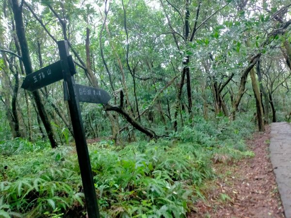 壹北大縱走第四段：風櫃嘴至大湖公園2809610