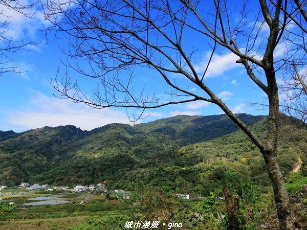 【台中。東勢】鄉村風情。 小中嵙登山步道1243176