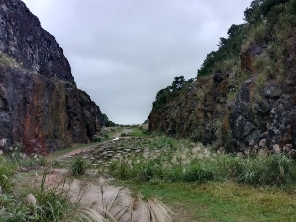 瑞芳區本山地質公園步道+草山公路+百二崁古道+樹梅坪古道O型2945517