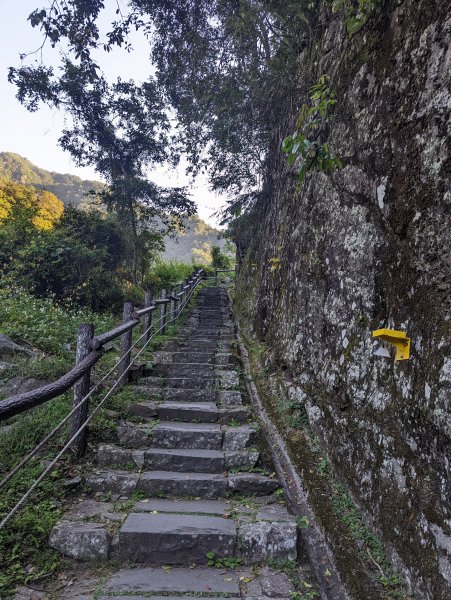 谷關七雄：有點硬陡的波津加山（捎來吊橋進、谷關吊橋出）1861382