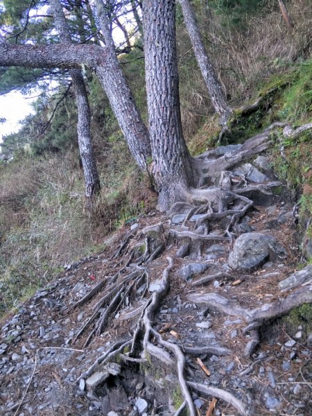 百岳:玉山前峰1448155