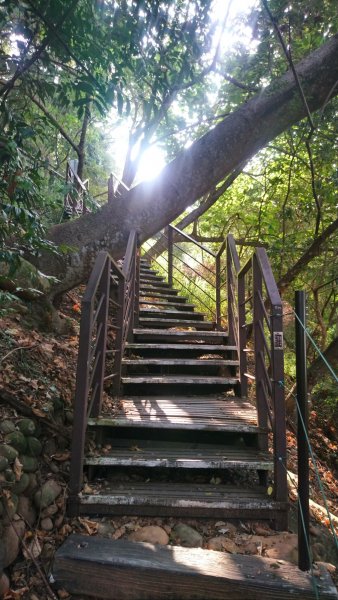 麒麟山森林步道1483320