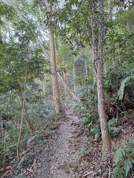 谷關蝴蝶谷瀑布202511202940782