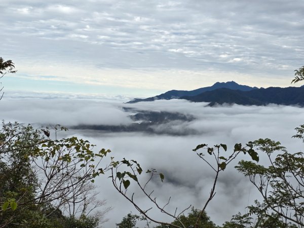 馬那邦山之雲海／雲瀑／楓紅／太陽琉璃光2676350