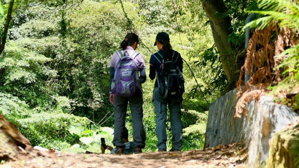 猴崁古道。盧特訪積2773254