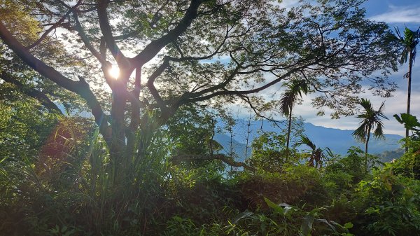雲嘉九連峰1438912