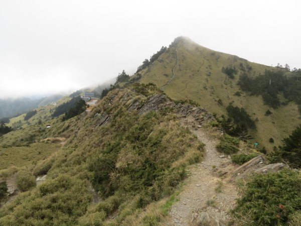 《南投》那年百岳｜合歡石門山步道
