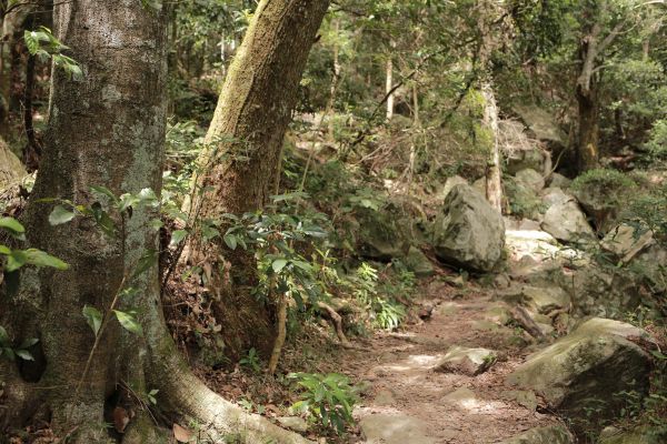 谷關七雄：東卯山187753