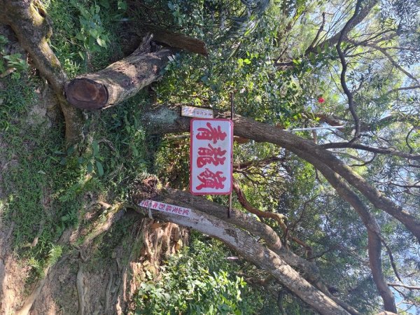 天上山縱走2868793