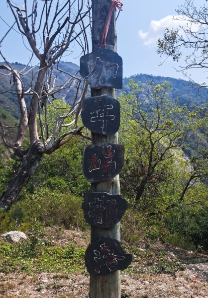 2024四天三夜六順七彩2681494