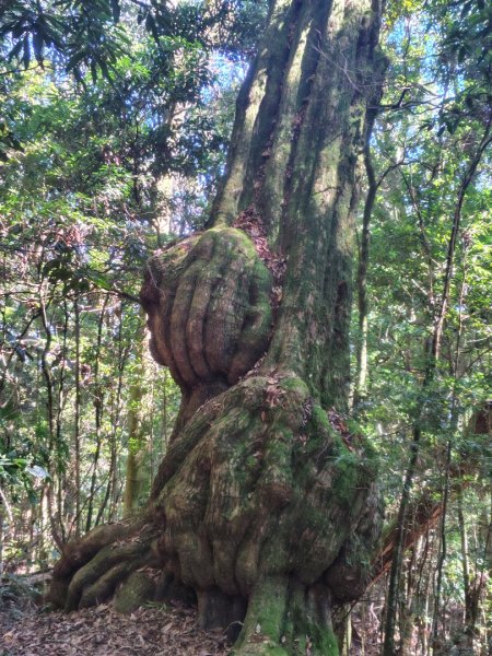 守關山南峰 守關山 守城大山2919170