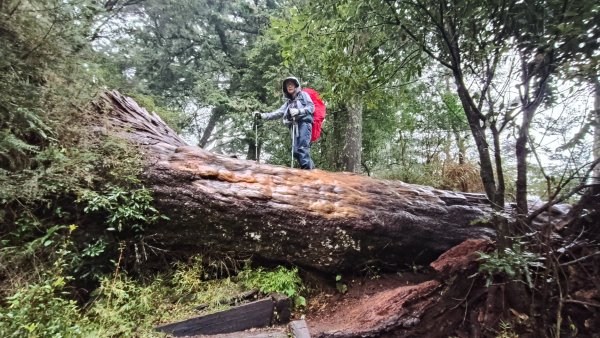 南一段20250101~052684996