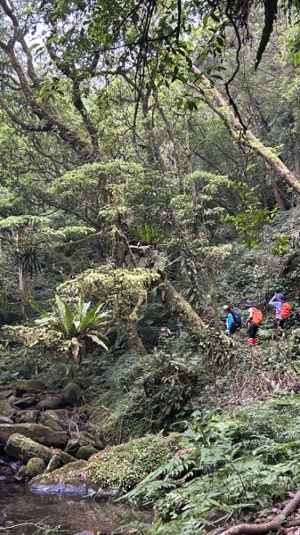 礁溪小礁溪山桶後越嶺步道2488313