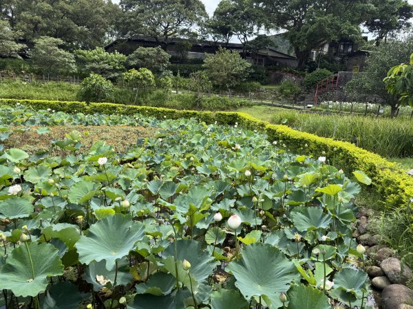77台北大縱走第4段11506193126645