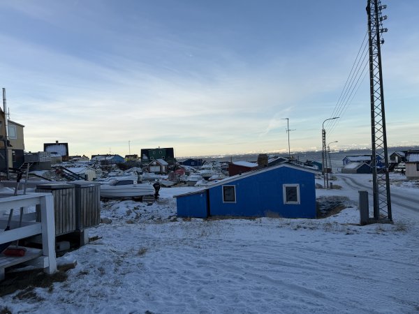 [紐約馬之行-31] 2025_1106 伊盧利薩特漢堡2947901