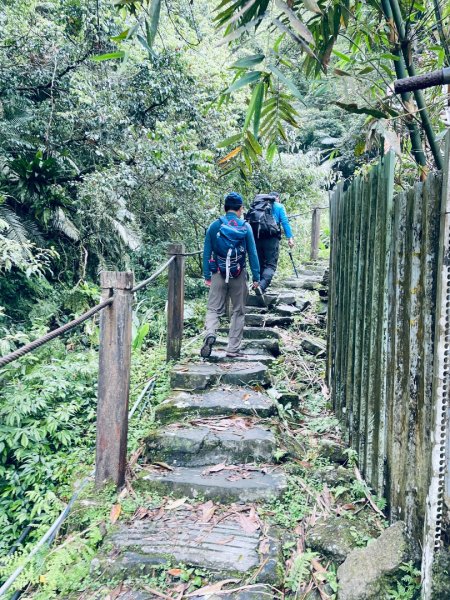 20250413 銀河洞越嶺步道-六分山-待老坑山-員潭子坑山2761185