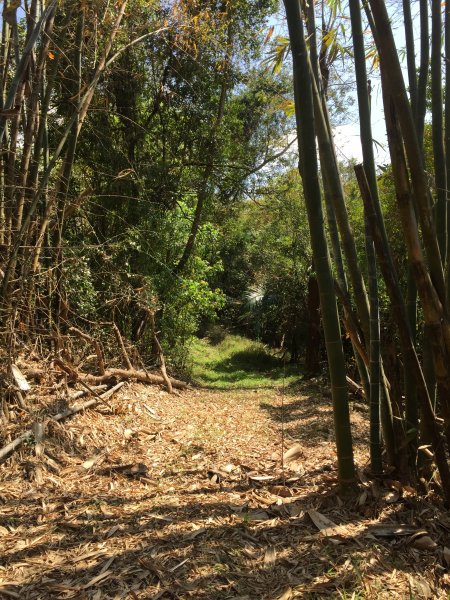 20220305高雄兔和山1633578