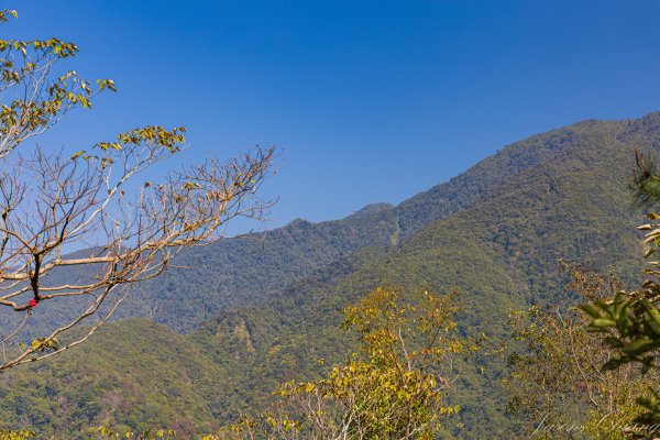 谷關七雄_唐麻丹山3015634
