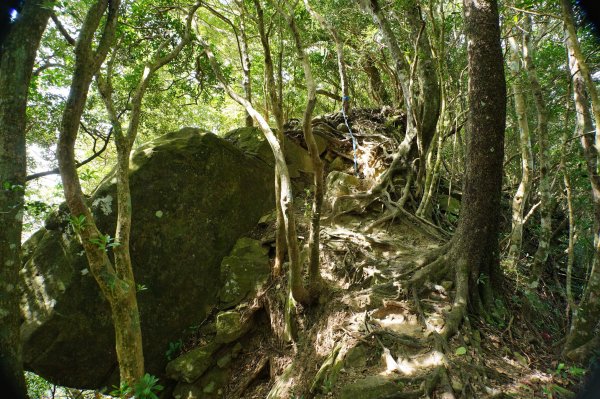 新竹 尖石 蓮包山、外鳥嘴山2914331
