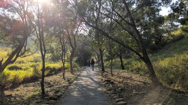 竹坑南寮登山步道2719363