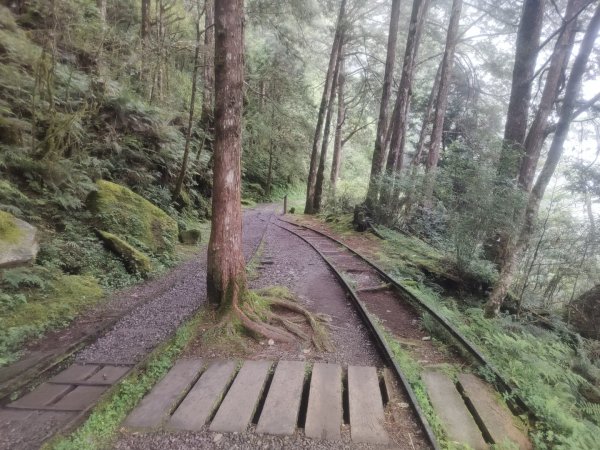 1150728太平山見晴懷古步道3096860