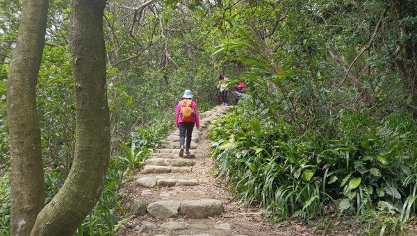 (姨婆趴趴走)第五十集:新北樹林大同山、青龍嶺、大棟山諸峰連走2751624