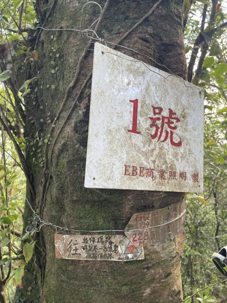 【二格山系】筆架連峰2881269