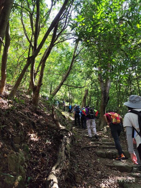 內湖金面山環狀步道2815666
