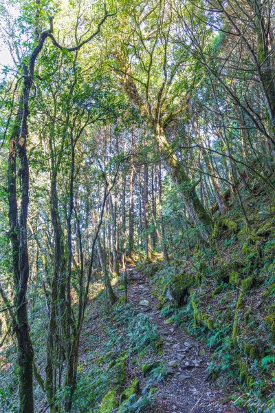 谷關七雄_八仙山2679620