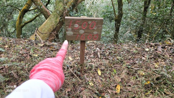20260127三通嶺山.三義山(大桁茂山).慈濟山.大坪山大O走2989956