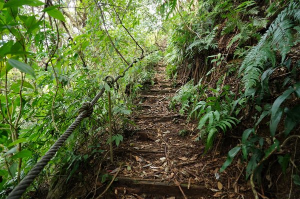 新北 烏來 大刀山、拉樸山、阿玉溪山2704952
