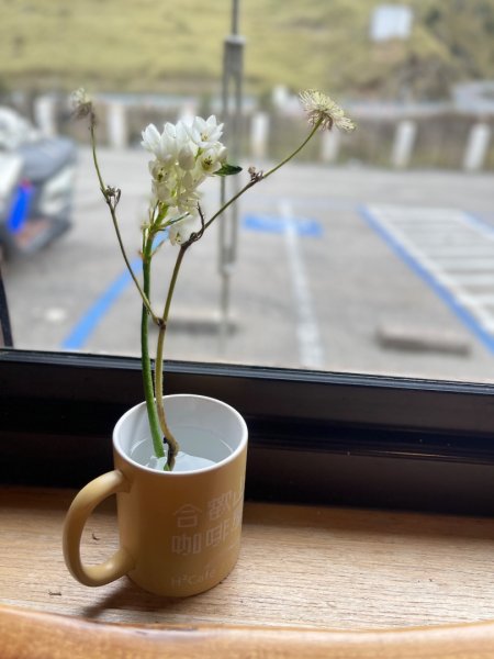 20250515-20250516 《登》合歡群峰3020166