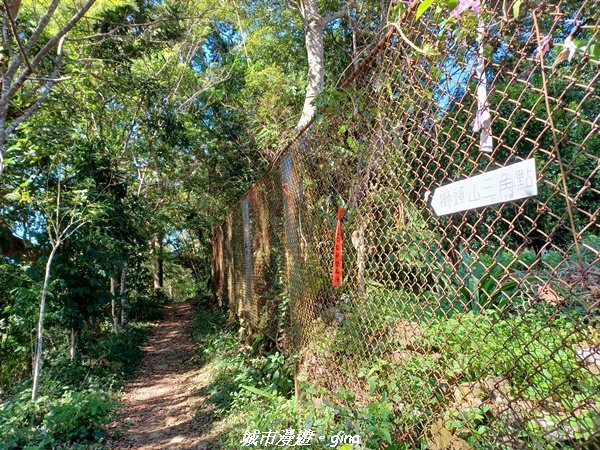【新竹峨嵋】古樸風情。 獅頭山步道群O型2397129